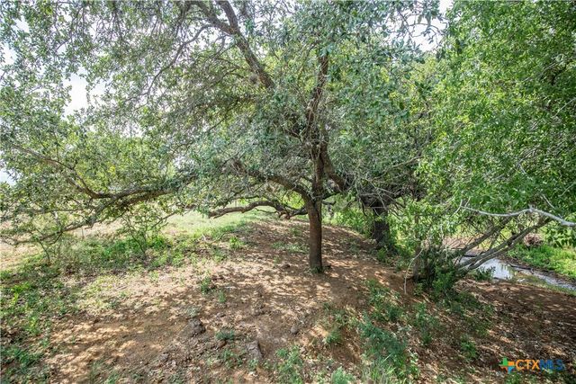 574 PR Goose Creek Lane, Jourdanton, TX 78026