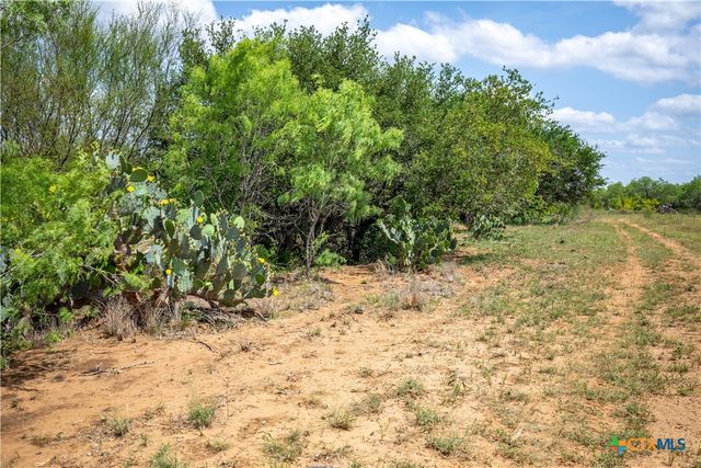 574 PR Goose Creek Lane, Jourdanton, TX 78026