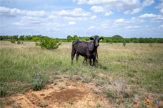 574 PR Goose Creek Lane, Jourdanton, TX 78026