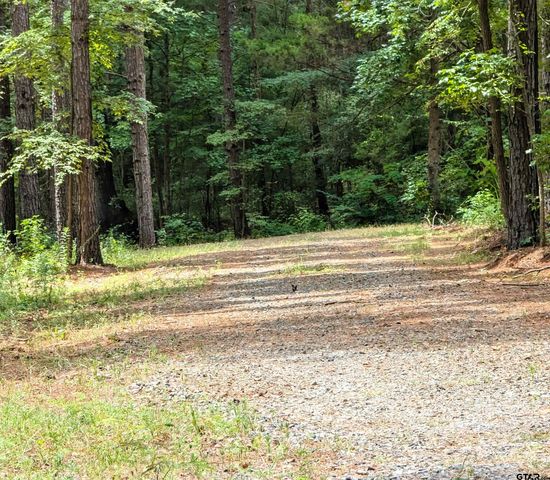 368 County Road 3318, Jacksonville, TX 75766