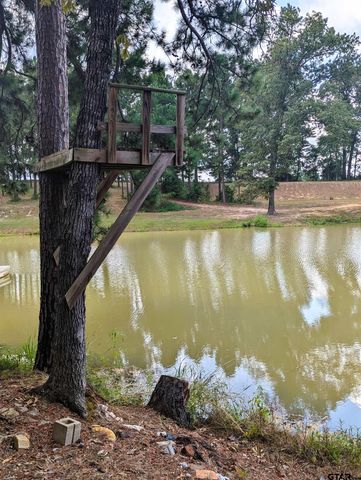 368 County Road 3318, Jacksonville, TX 75766