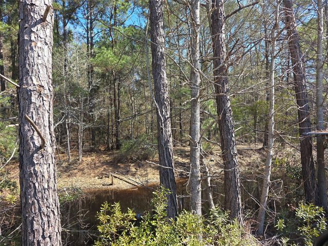 12635 Fm 356, Trinity, TX 75862