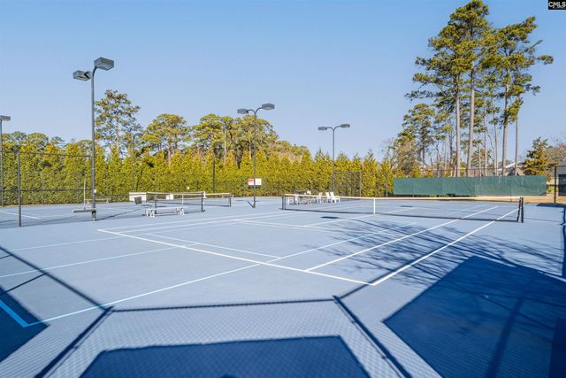 504 Links Pointe Court, Chapin, SC 29036