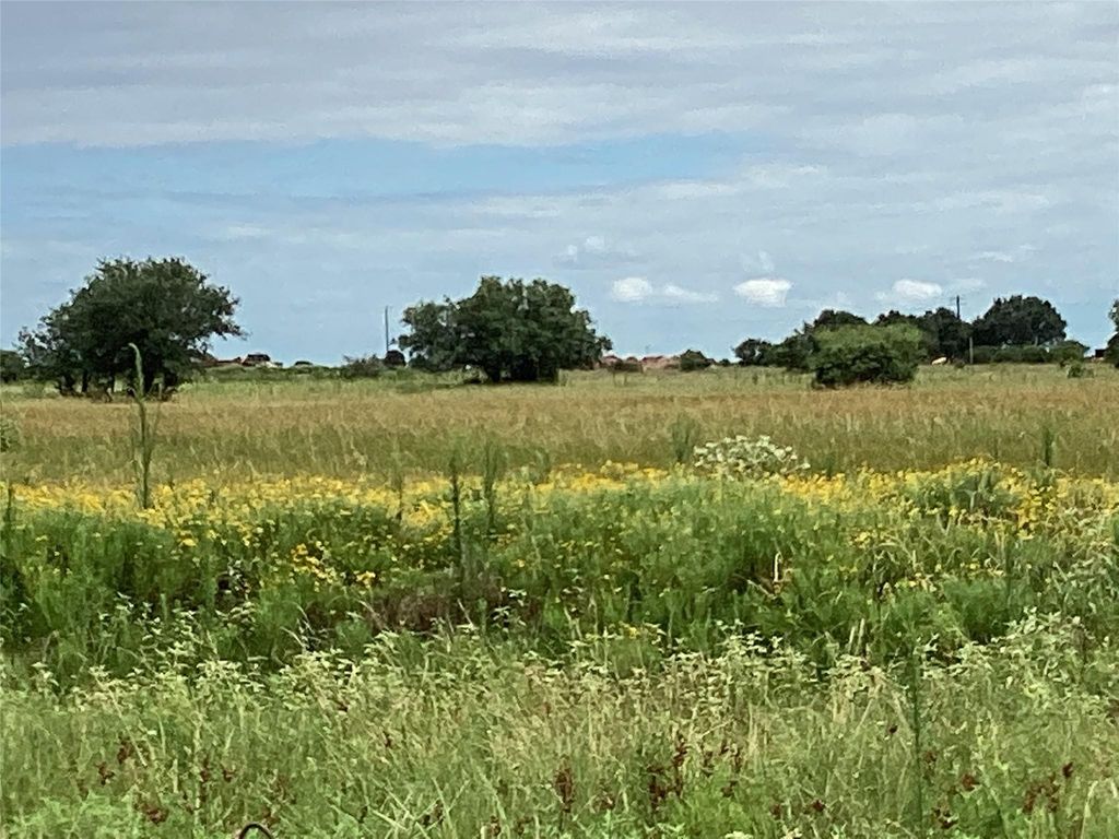 Lot 88 Gadwall Lane, Columbus, TX 78934