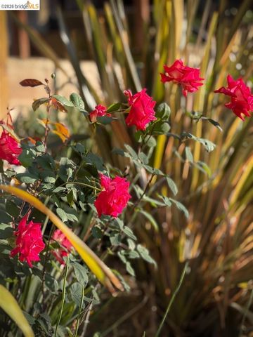 6741 Snake Rd, Oakland, CA 94611