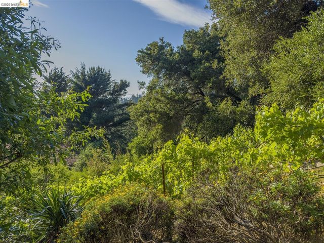 6741 Snake Rd, Oakland, CA 94611