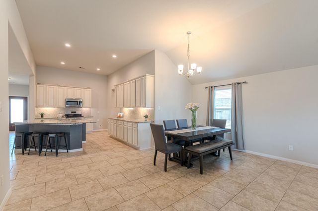 14207 Irvine Ranch Trail, Conroe, TX 77384