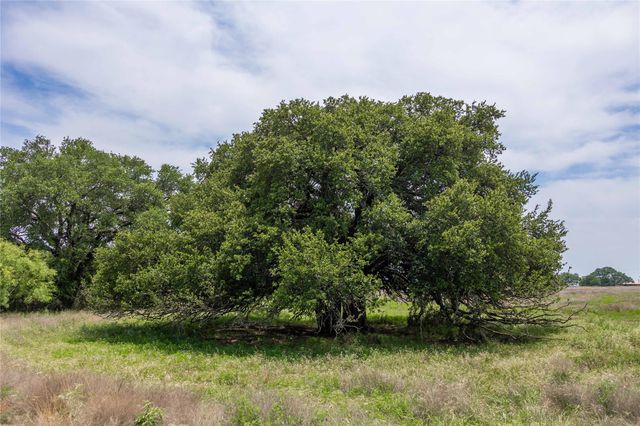 50 county road 189, Mullin, TX 76864