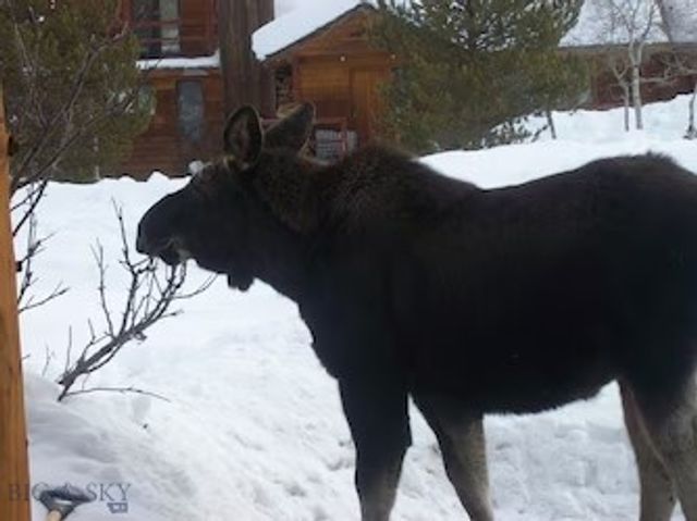 40 BIG SKY RESORT Road 1910A, Big Sky, MT 59716