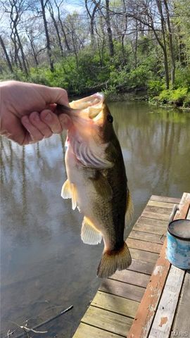 7401 State Route 140, Edwardsville, IL 62025