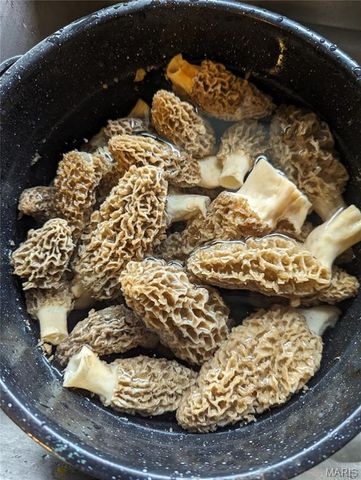 7401 State Route 140, Edwardsville, IL 62025