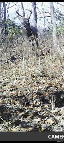 7401 State Route 140, Edwardsville, IL 62025