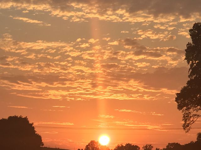 1761 Jameson Dr, Franklin, TN 37064