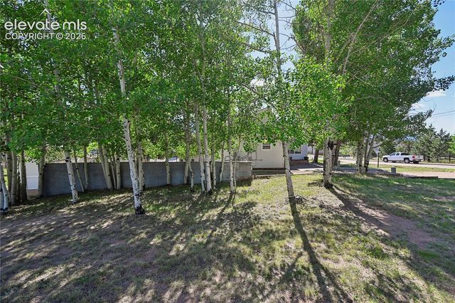 924 Spruce Haven Drive, Woodland Park, CO 80863