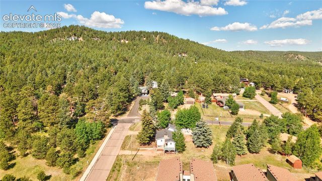 924 Spruce Haven Drive, Woodland Park, CO 80863