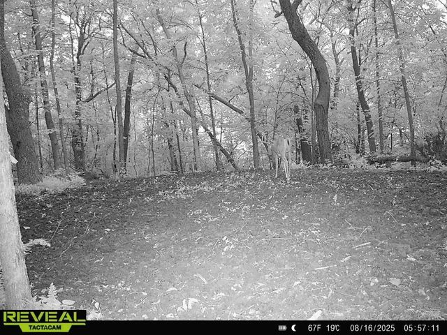 16715 Helmet Road, Tomah, WI 54660