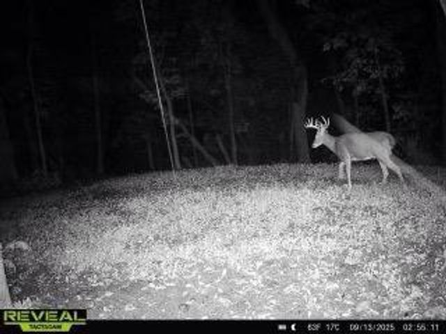 16715 Helmet Road, Tomah, WI 54660