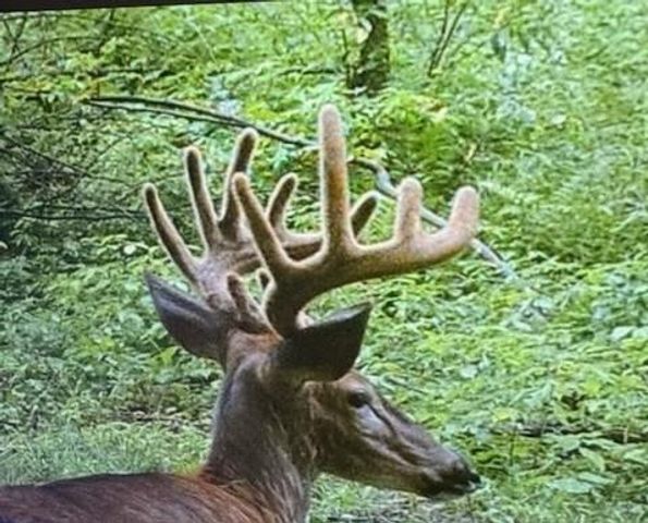 16715 Helmet Road, Tomah, WI 54660