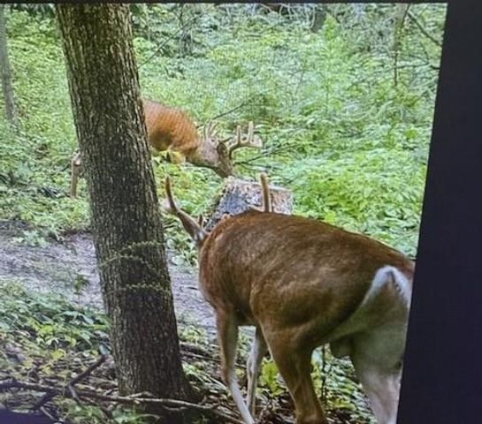 16715 Helmet Road, Tomah, WI 54660