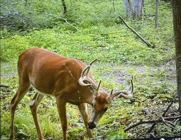 16715 Helmet Road, Tomah, WI 54660