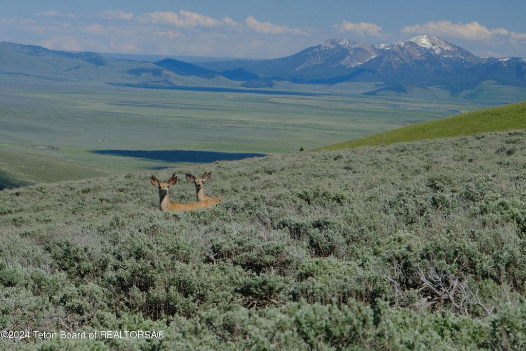 N VALLEY Road, Lima, MT 59739 photo 17