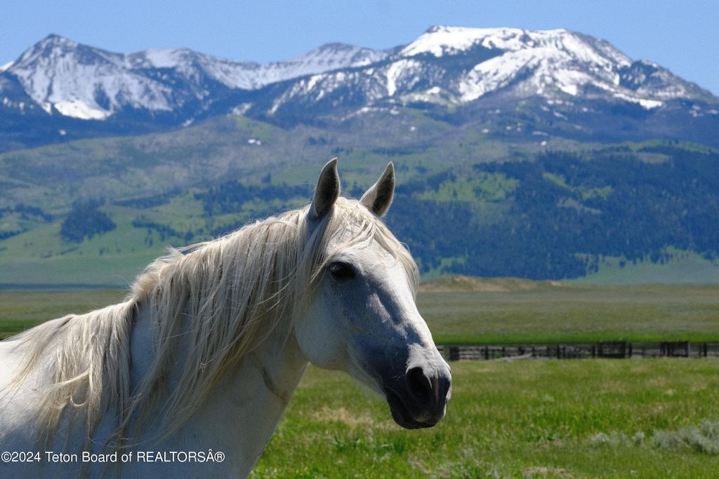 N VALLEY Road, Lima, MT 59739 photo 29