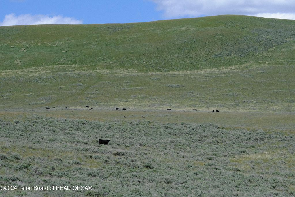 N VALLEY Road, Lima, MT 59739 photo 5