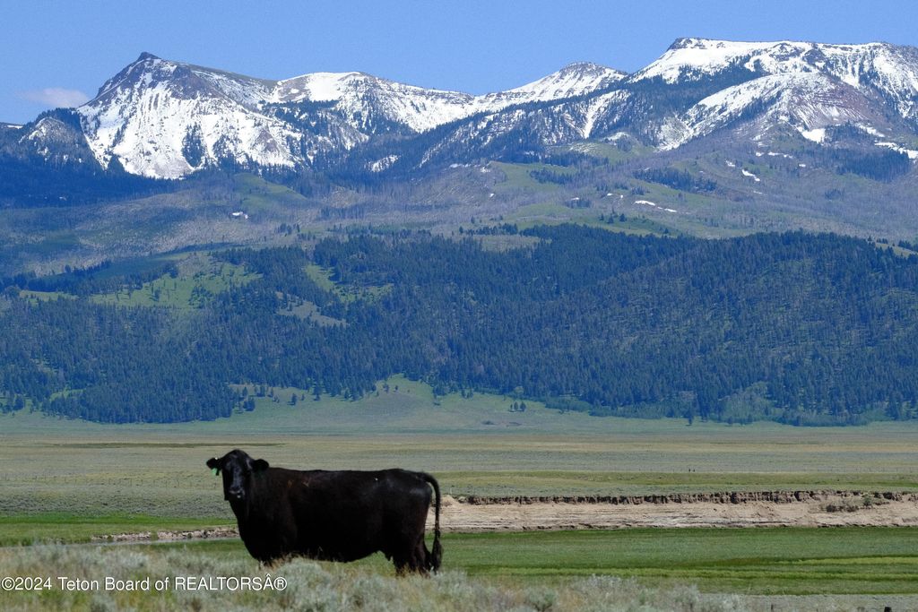 N VALLEY Road, Lima, MT 59739 photo 7