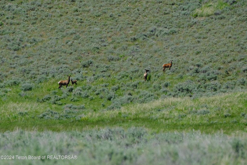 N VALLEY Road, Lima, MT 59739 photo 9