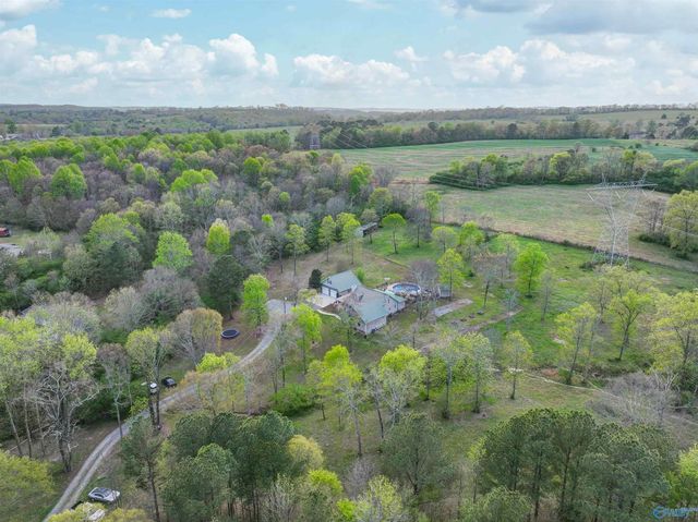 5900 Nixon Chapel Road, Horton, AL 35980