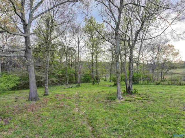 5900 Nixon Chapel Road, Horton, AL 35980