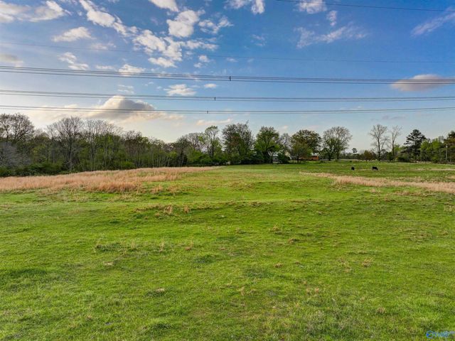 5900 Nixon Chapel Road, Horton, AL 35980