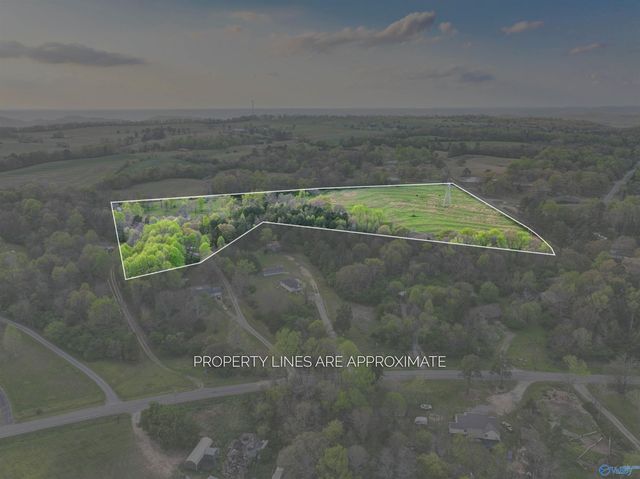 5900 Nixon Chapel Road, Horton, AL 35980