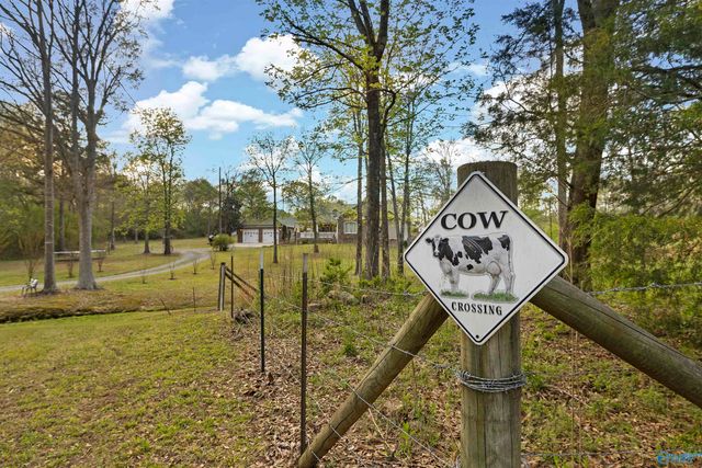 5900 Nixon Chapel Road, Horton, AL 35980