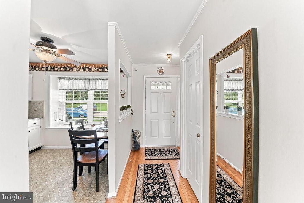 343 SCOLA RD, BROOKHAVEN, PA 19015 — photo 4