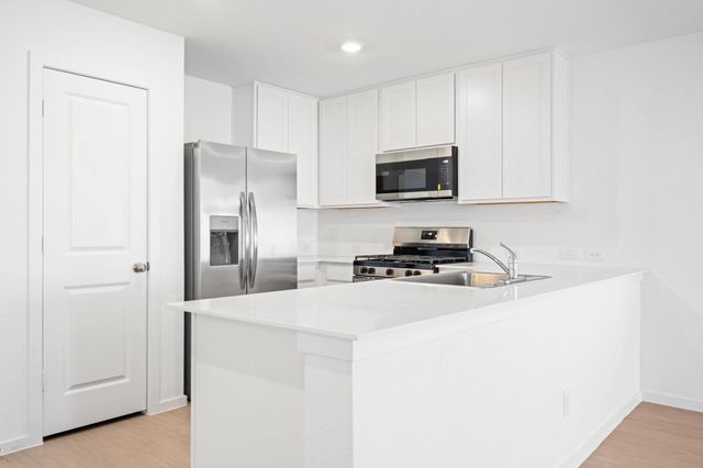 16127 Domestic Dove Way Way, Hockley, TX 77477