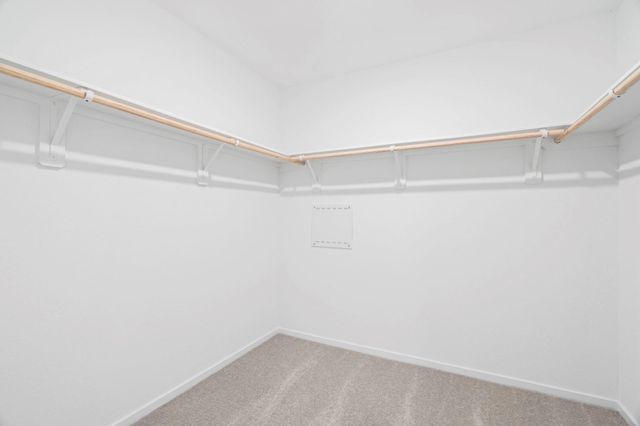 16127 Domestic Dove Way Way, Hockley, TX 77477