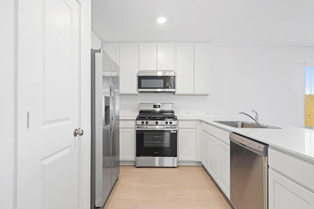 16127 Domestic Dove Way Way, Hockley, TX 77477