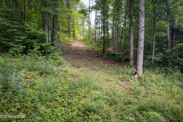 2 Verless Ogle Rd, Sevierville, TN 37876