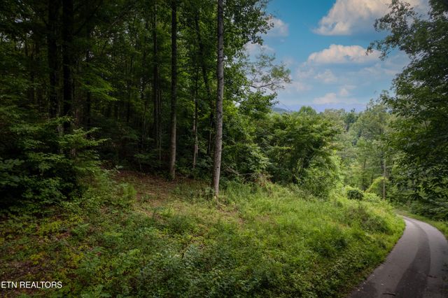 2 Verless Ogle Rd, Sevierville, TN 37876