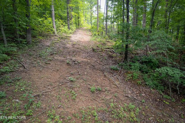 2 Verless Ogle Rd, Sevierville, TN 37876
