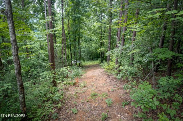 2 Verless Ogle Rd, Sevierville, TN 37876