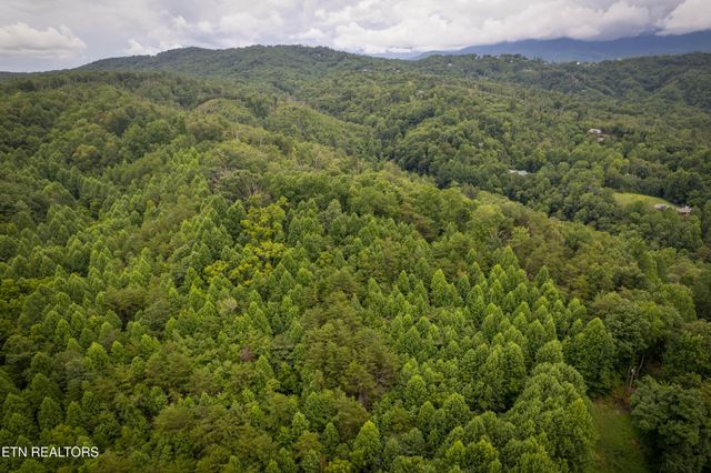 2 Verless Ogle Rd, Sevierville, TN 37876