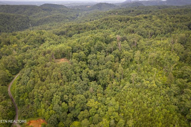 2 Verless Ogle Rd, Sevierville, TN 37876