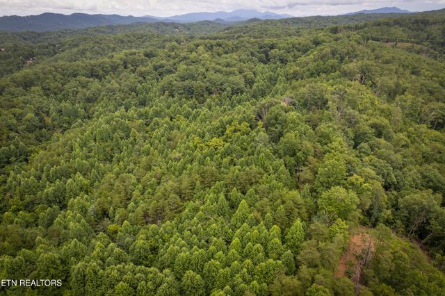 2 Verless Ogle Rd, Sevierville, TN 37876