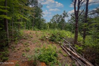2 Verless Ogle Rd, Sevierville, TN 37876