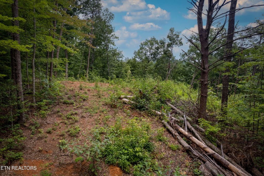 2 Verless Ogle Rd, Sevierville, TN 37876
