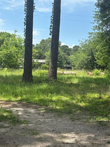 164 Moon Mist Drive, Trinity, TX 75862