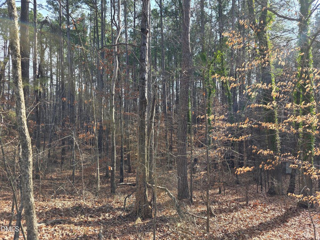 906 Ardmore Drive, Durham, NC 27713