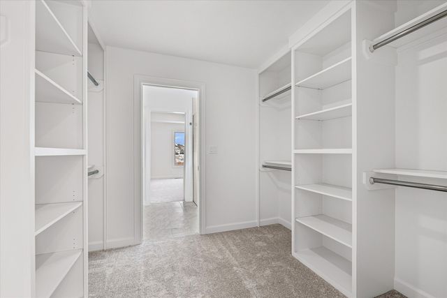 2805 MISTY FLOWER DR, Columbia, MO 65203